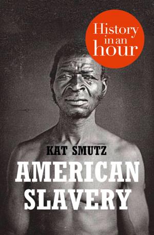 Cover of the book American Slavery: History in an Hour by Bonnie MacBird