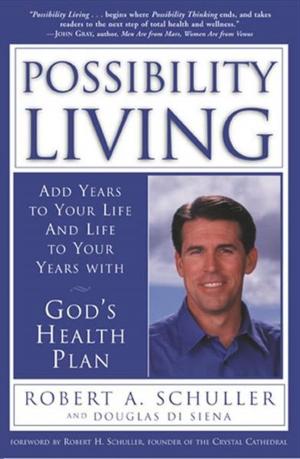 Cover of the book Possibility Living by Shimon Gibson
