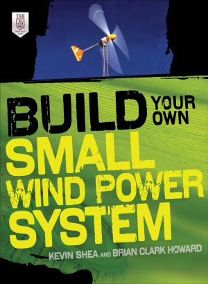 Cover of the book Build Your Own Small Wind Power System by Vikram Vaswani