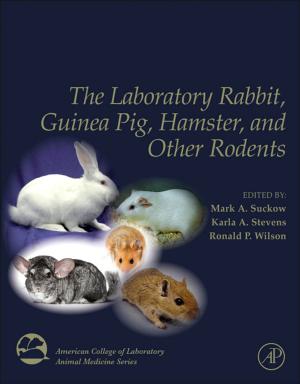 Cover of the book The Laboratory Rabbit, Guinea Pig, Hamster, and Other Rodents by Kivie Moldave