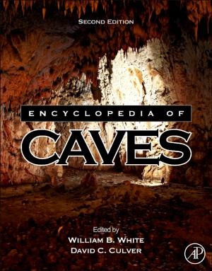 Cover of the book Encyclopedia of Caves by Sharon Tettegah