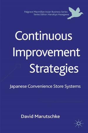 Cover of the book Continuous Improvement Strategies by 