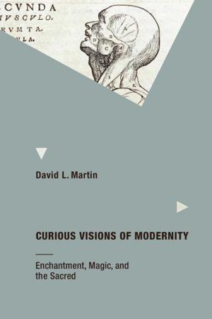 Book cover of Curious Visions of Modernity: Enchantment, Magic, and the Sacred