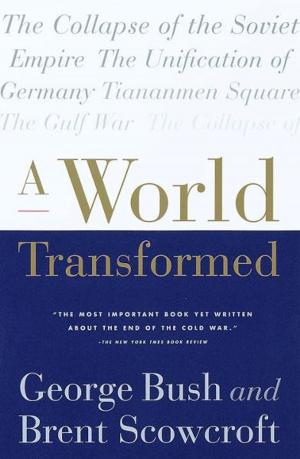 Cover of the book A World Transformed by Howard M. Sachar