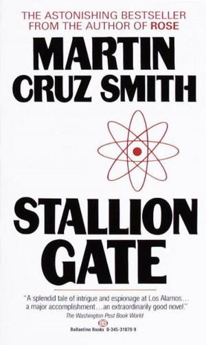 Cover of the book Stallion Gate by S.A. Cameron