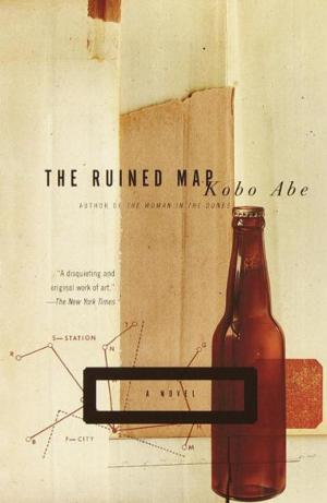 Cover of the book The Ruined Map by Silvana Paternostro