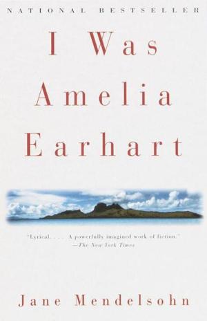 Cover of the book I Was Amelia Earhart by Marjorie Garber