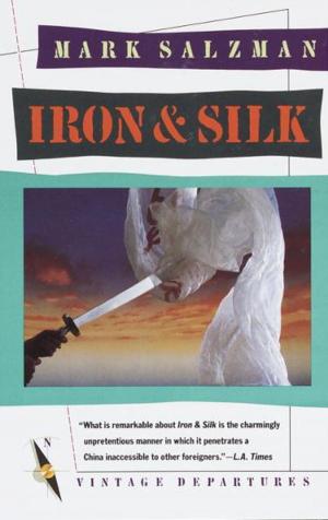 Cover of the book Iron and Silk by Lori Morrison