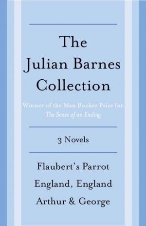 Book cover of The Julian Barnes Booker Prize Finalist Collection, 3-Book Bundle