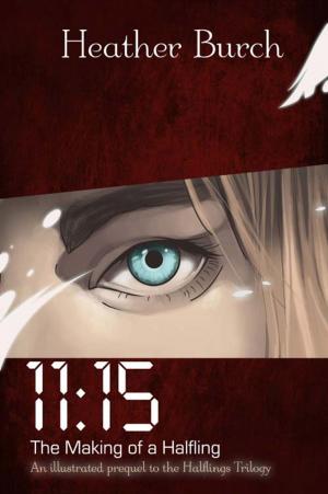 bigCover of the book 11:15 by 
