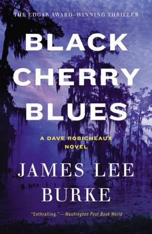 Cover of the book Black Cherry Blues by Gabriel Roth