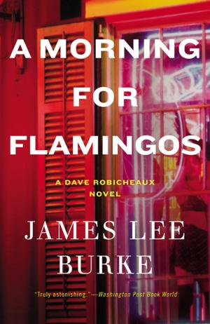 Cover of A Morning for Flamingos