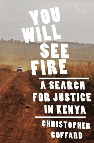 Cover of the book You Will See Fire: A Search for Justice in Kenya by Michael B. Oren