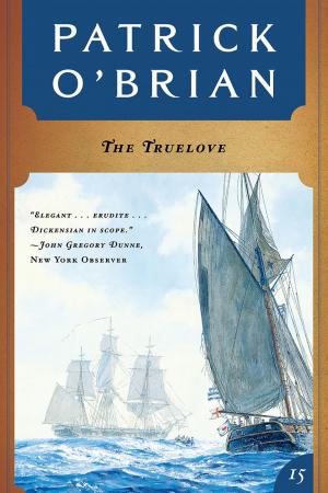 Cover of the book The Truelove (Vol. Book 15) (Aubrey/Maturin Novels) by Anne Enright