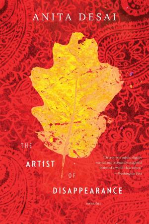 Cover of the book The Artist of Disappearance by Mei Li Robinson