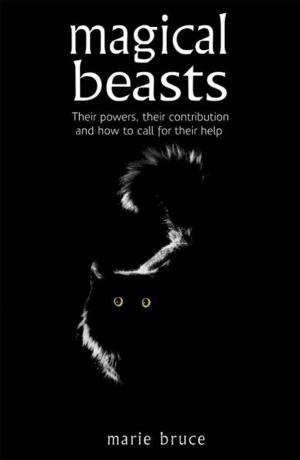 Cover of Magical Beasts