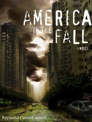 Cover of the book America in the Fall by Steve Dillon