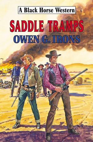 bigCover of the book Saddle Tramps by 