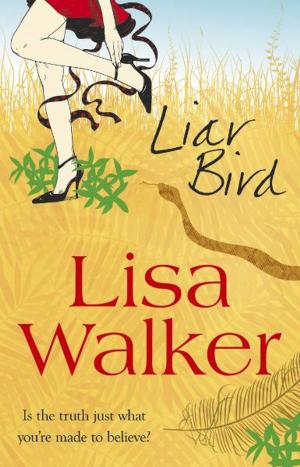 Book cover of The Liar Bird