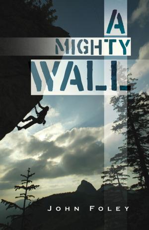 Cover of the book A Mighty Wall by V. Briceland