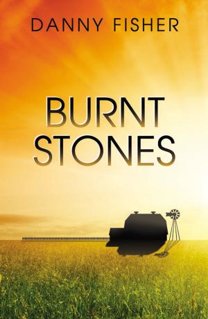 Cover of the book Burnt Stones by I.C.E.