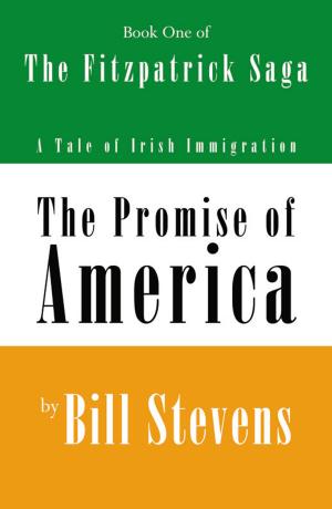 Cover of the book The Promise of America Book 1: The Fitzpatrick Saga by David R. Weinraub