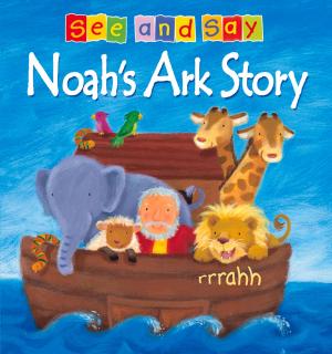 Cover of the book Noah's Ark Story by John Stott