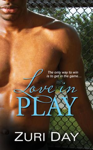 Cover of the book Love in Play by Leslie Meier