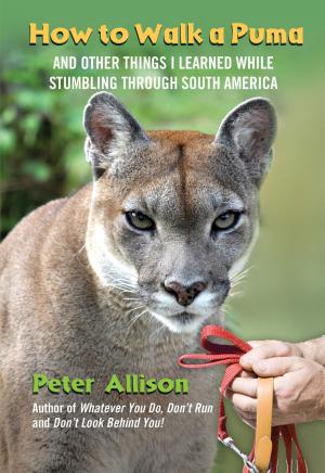 Book cover of How to Walk a Puma