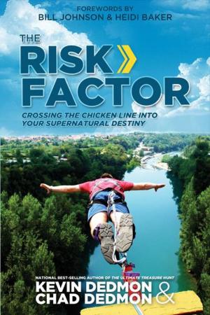 bigCover of the book The Risk Factor: Crossing the Chicken Line Into Your Supernatural Destiny by 