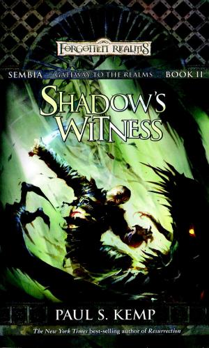 Cover of the book Shadow's Witness by Elaine Cunningham