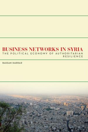 Cover of the book Business Networks in Syria by David L. Rousseau
