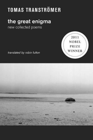 Cover of the book The Great Enigma: New Collected Poems by Susan Howe, James Welling