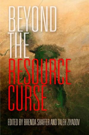 Cover of the book Beyond the Resource Curse by Michael Witgen