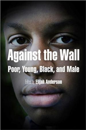 Cover of the book Against the Wall by Robert C. Holub