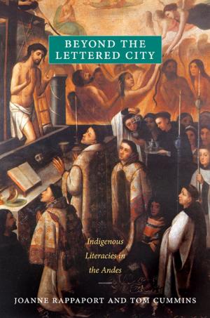 Cover of the book Beyond the Lettered City by Amit S. Rai