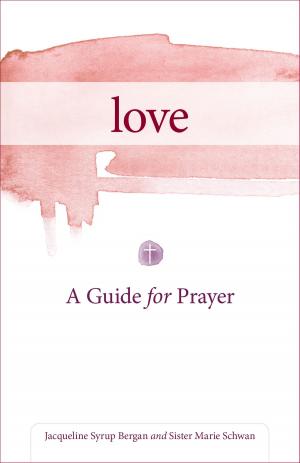 Cover of the book Love by Chris Lowney