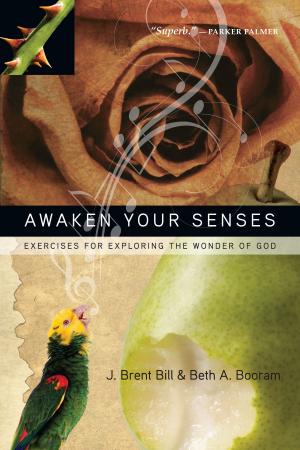 Book cover of Awaken Your Senses