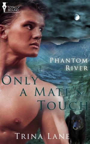 Cover of the book Only a Mate's Touch by Nikki McCoy