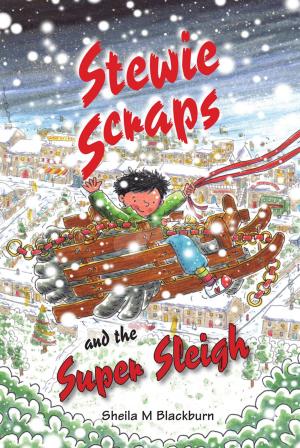 Cover of the book Stewie Scraps and the Super Sleigh by Paul Andrews