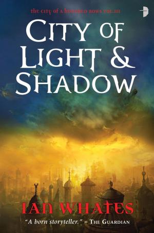 Cover of the book City of Light and Shadow by Jim Self, Roxane Burnett
