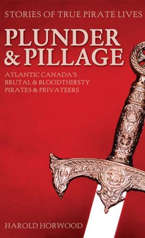 Cover of the book Plunder & Pillage by Brenda Bellingham