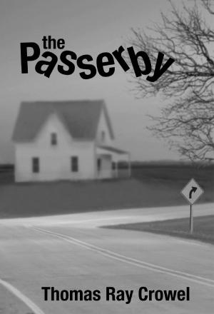 Book cover of The Passerby