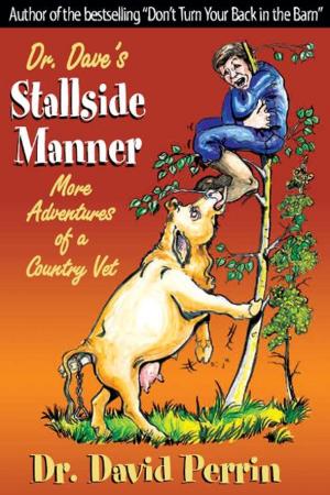 Book cover of Dr. Dave's Stallside Manner