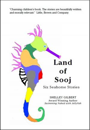 bigCover of the book Land of Sooj by 