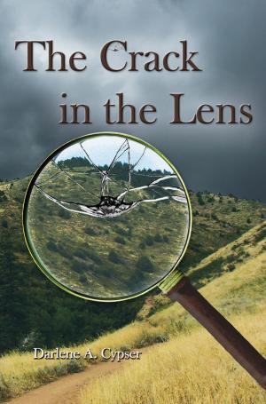 Cover of the book The Crack in the Lens by Jane Haddam