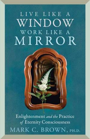 Cover of the book Live Like a Window, Work Like a Mirror: Enlightenment and the Practice of Eternity Consciousness by S. Alexander O'Keefe