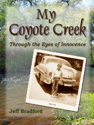 Book cover of My Coyote Creek