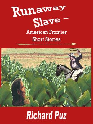 Book cover of Runaway Slave