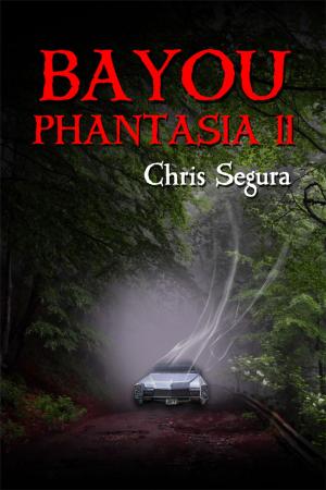 Cover of the book Bayou Phantasia II by Daniel Parsons